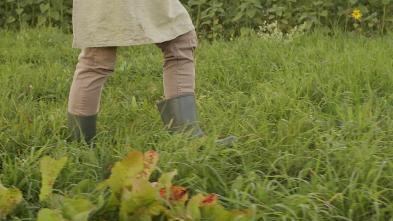 Unrecognizable Agronomist Legs Walking In Field