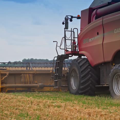 combine harvester cutting ripe crops. big red machine moving away from the camera leaving the clouds of dust and pieces of straw