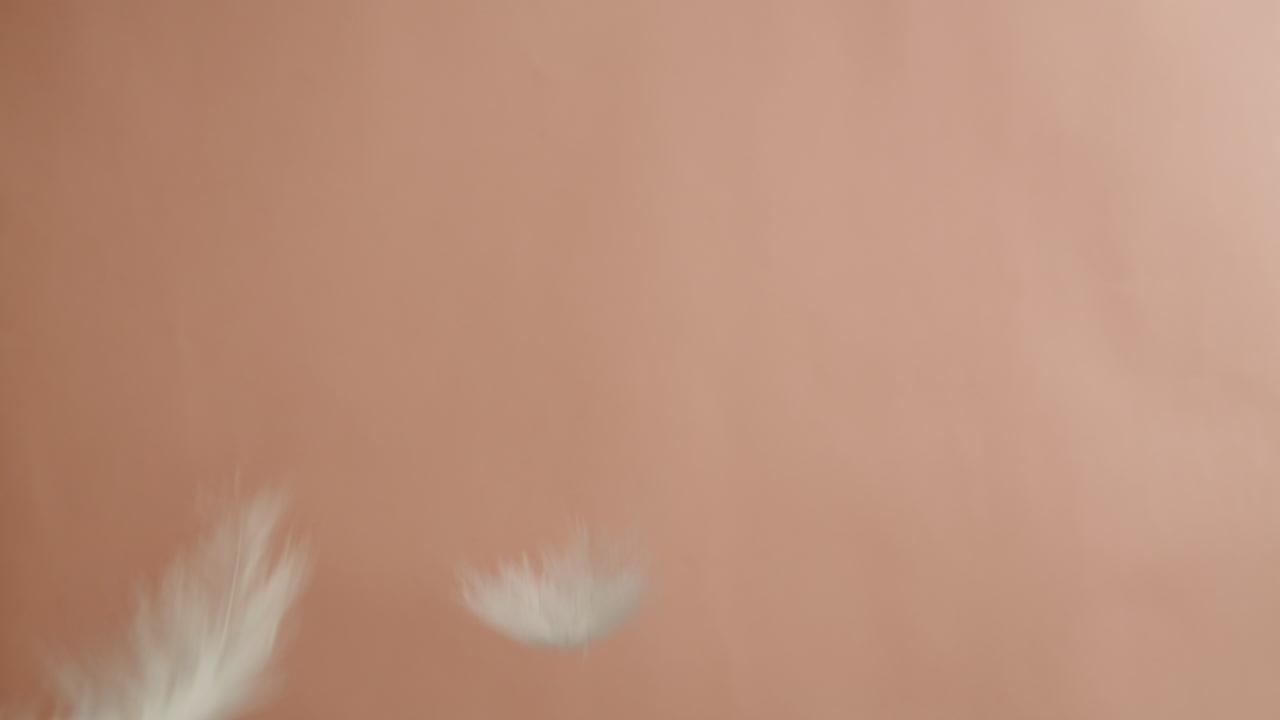 Delicate Falling Feathers on a Pastel Background