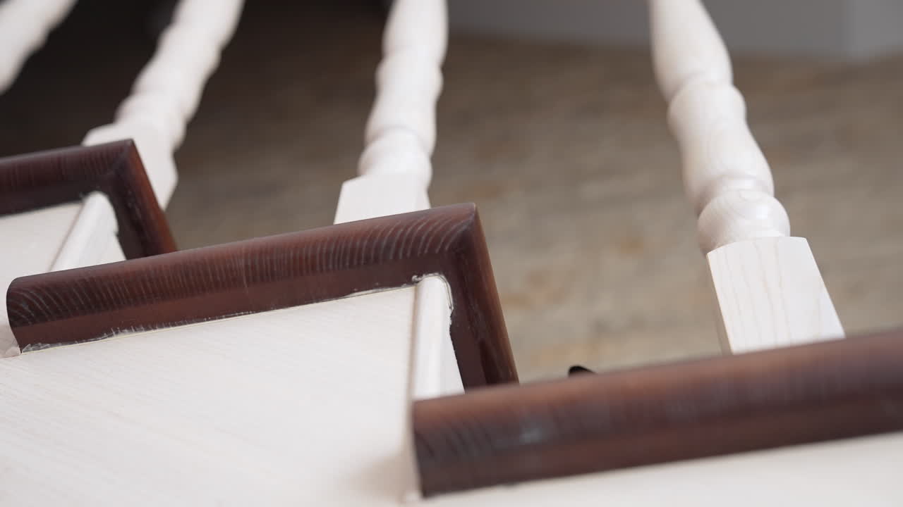 Cute kitty trying to catch new toys. Small adorable animal hunting toy.