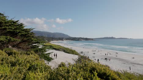 beach and ocean in carmel by the sea, california