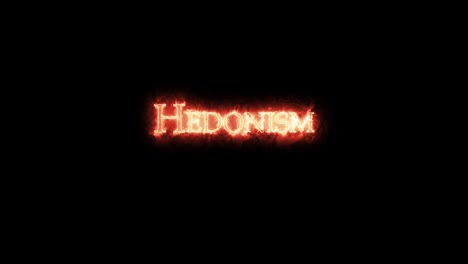 hedonismo escrito con fuego. bucle