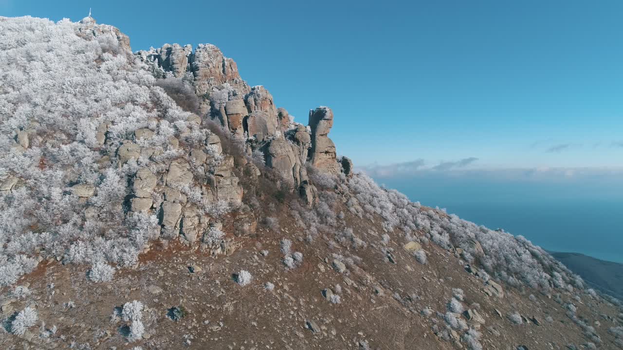 얼어붙은 나무 들 이 있는 눈 인 산꼭대기