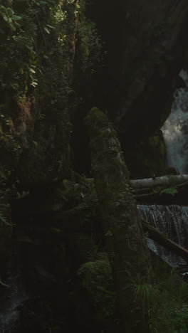 waterfall in dark shade in middle of forest. majestic clear reservoir surrounded by tall green trees and dry trunks. destination place of tourists groups