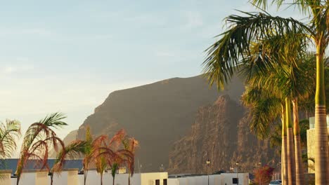 Beautiful-scenery,-palm-trees-and-huge-cliffs-Los-Gigantes-in-background