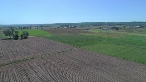 Eine-Drohne,-Die-Sich-Langsam-Bewegt,-Panasonic-Blick-Auf-Die-Amish-Landschaft,-Gepflügte-Und-Wachsende-Felder,-Grasende-Kühe,-An-Einem-Sonnigen-Frühlingstag