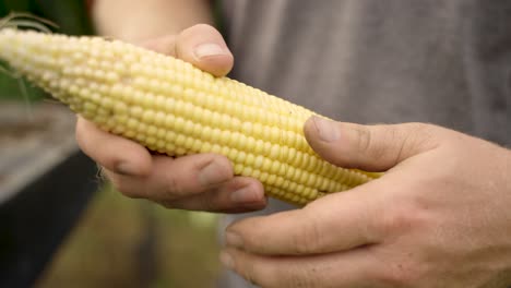 a man holding a raw peeled off corn in his hand