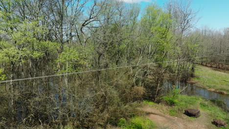 Green-Trees-At-Grassy-Lake-Trail-in-Daytime-In-Bell-Slough-State-Wildlife-Management-Area-In-Mayflower,-Arkansas,-USA