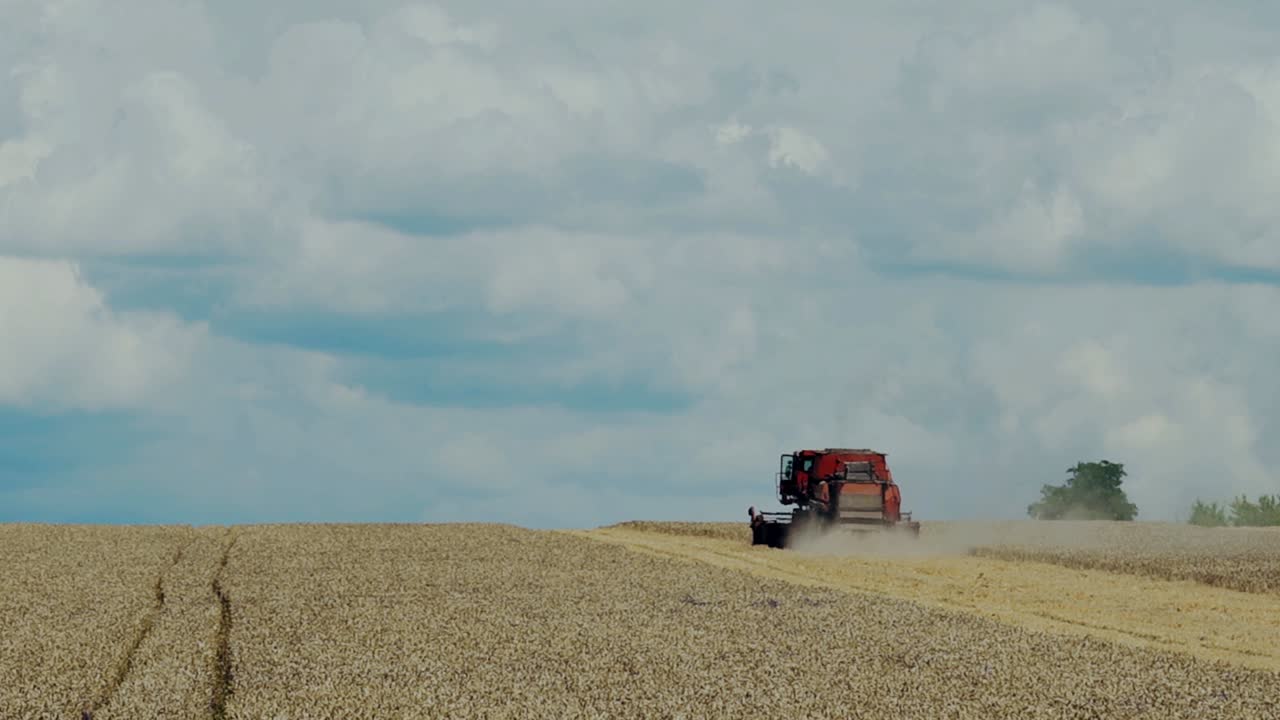 Combine harvester working on sunny summer day. Harvest time. Agricultural sector