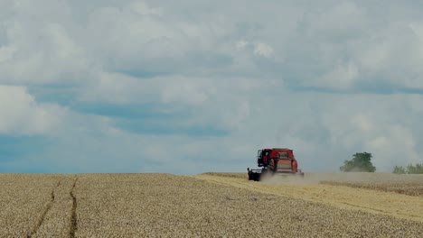 combine harvester working on sunny summer day. harvest time. agricultural sector