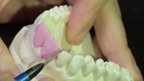 artistic dental laboratory technician carving teeth anatomy on cast, close up