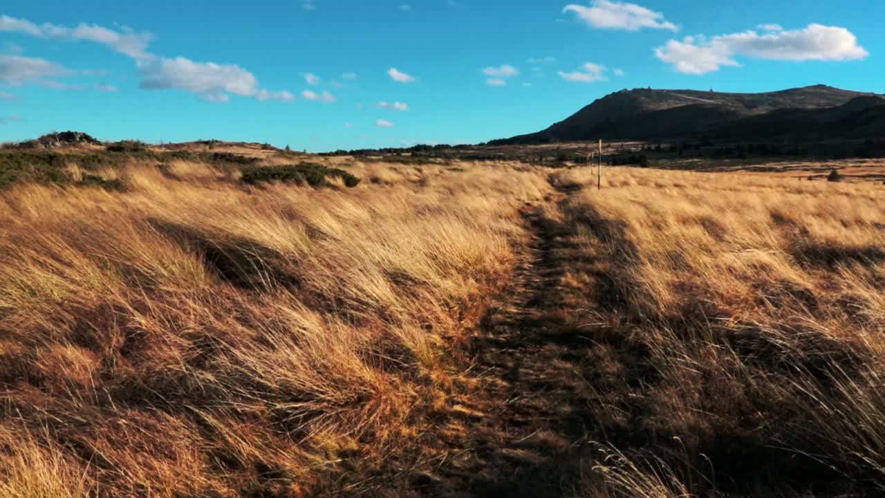 sendero de senderismo en las montañas en un soleado día de otoño