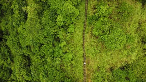 Beautiful-cinematic-Ubud,-Bali-drone-footage-with-exotic-rice-terrace,-small-farms,-campuhan-ridge-walk-and-agroforestry-plantation