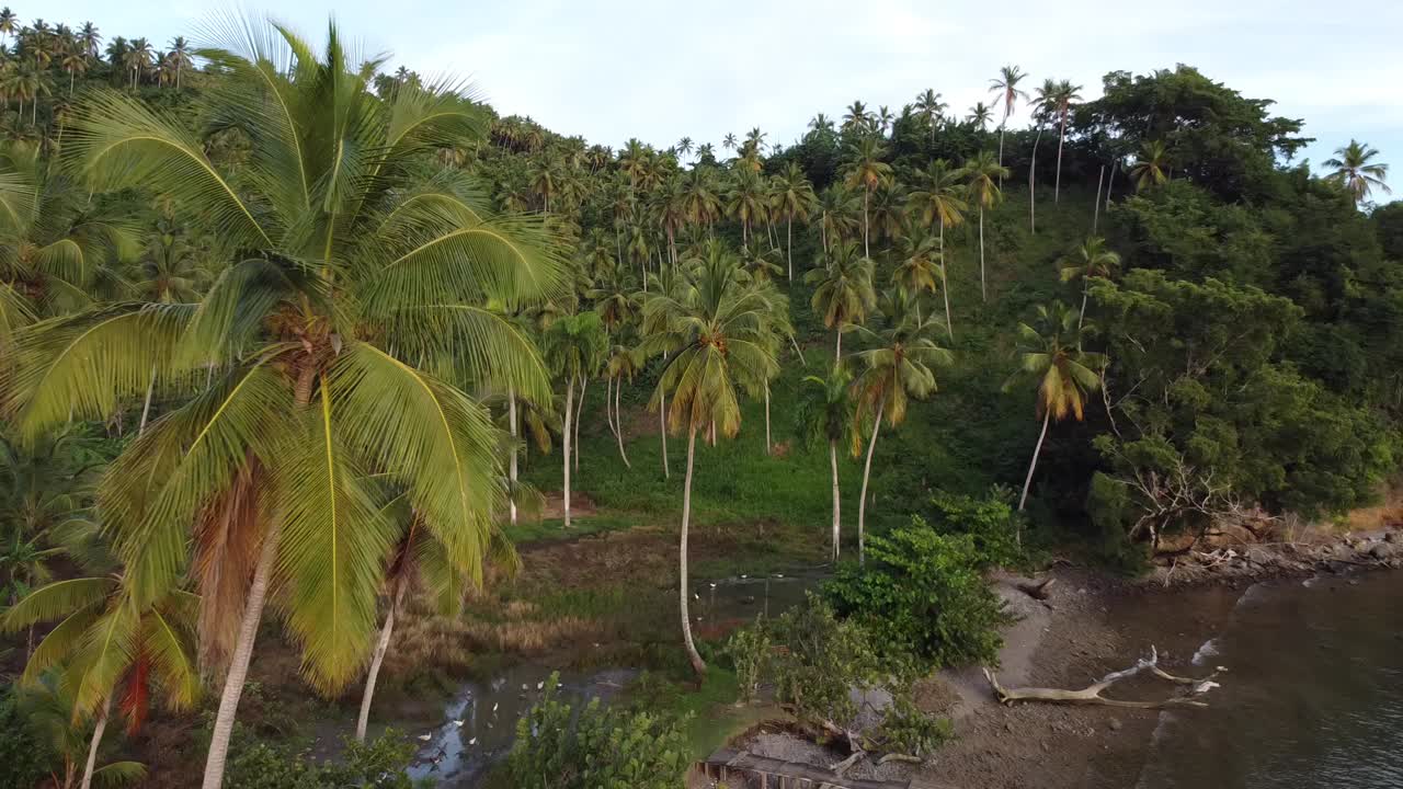 vista aérea de playa tropical, bahía con barcos y paisaje montañoso, península de samaná, república dominicana