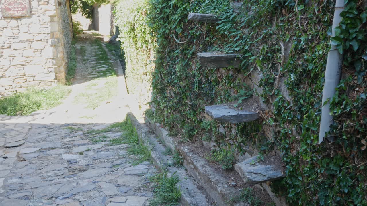 Stone Alleyway with Ivy-Covered Wall
