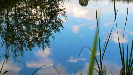 raindrops on the water surface of the lake.