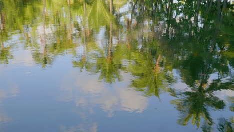 mauna lani fish ponds reflections, hawaii mauna lani