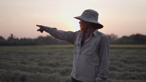 farmer in a rice paddy at sunset