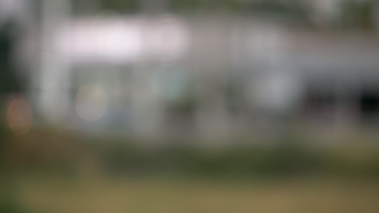 Esplora una serena scena naturale con fogliame sfocato e delicati effetti di luce bokeh