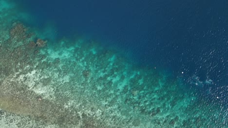 Cebu-island-coral-reef-in-the-clear-blue-waters-of-the-philippines,-aerial-view