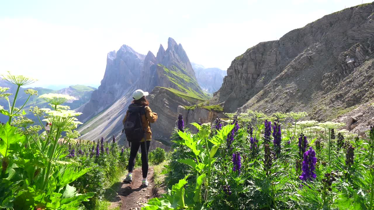 Female hiker admiring the majestic seceda peaks in the italian dolomites