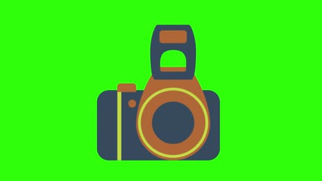 2d animated illustration of a camera on a green screen