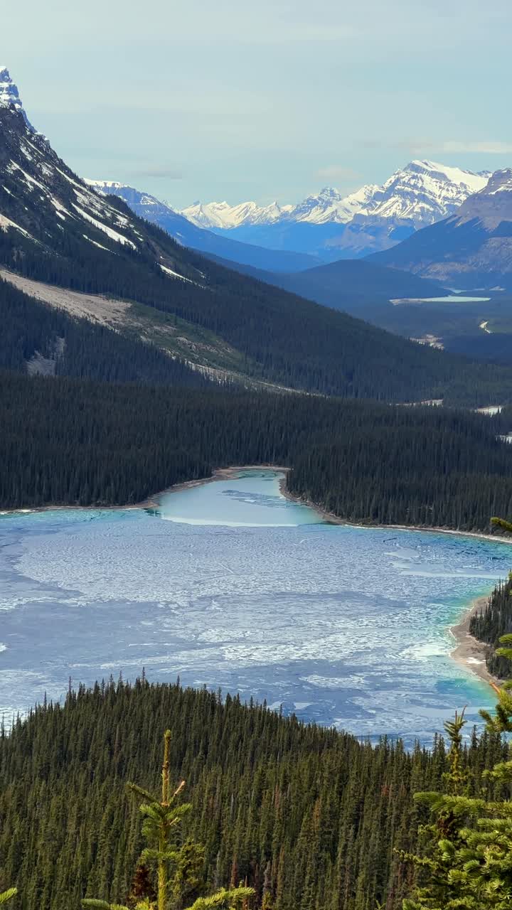 Lago Peyto con ghiaccio incrinato e acque turchesi alla base di montagne innevate e foreste di pini nel Parco Nazionale di Banff