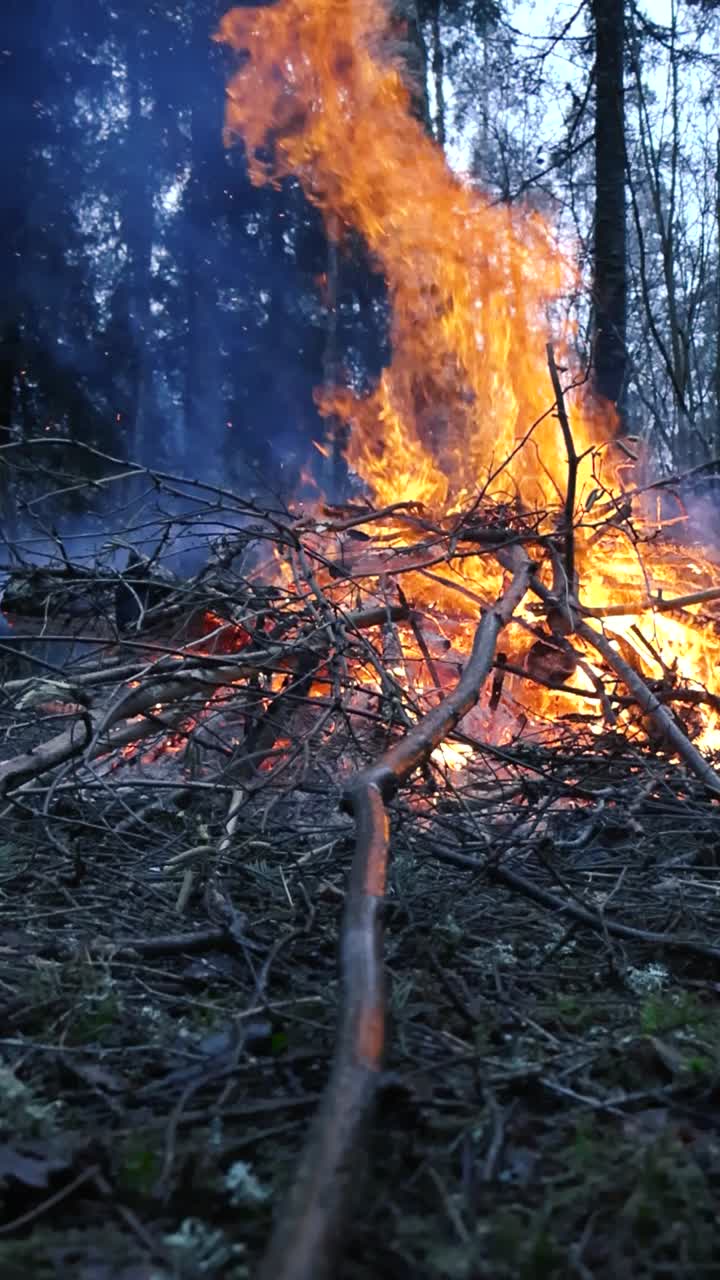 Large orange and vibrant yellow bonfire or a campfire low angle footage burning in a wet and cold damp forest during a cloudy day in slow motion. Fire creates, sparks, embers and thick white smoke.