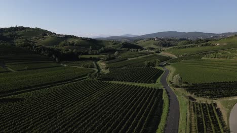 una hermosa vista de los viñedos de eslovenia