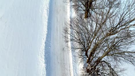 snowy roadway in appalachian mountains cinematic scene near boone nc