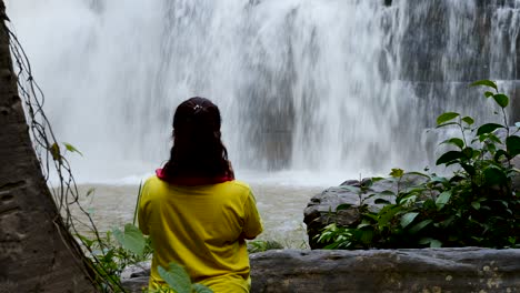 waterfall in tropical paradise