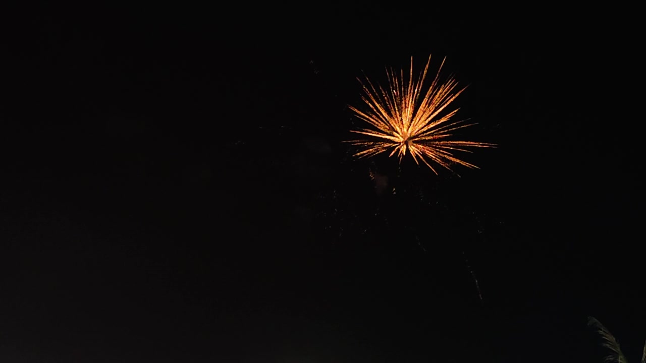 Fuochi d'artificio notturni illuminano una celebrazione di matrimonio sulla spiaggia di Goa al rallentatore.