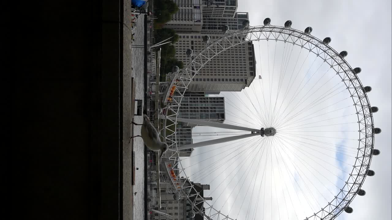 Seagulls flying over Thames River with London Eye in background on a cloudy day in London. Vertical
