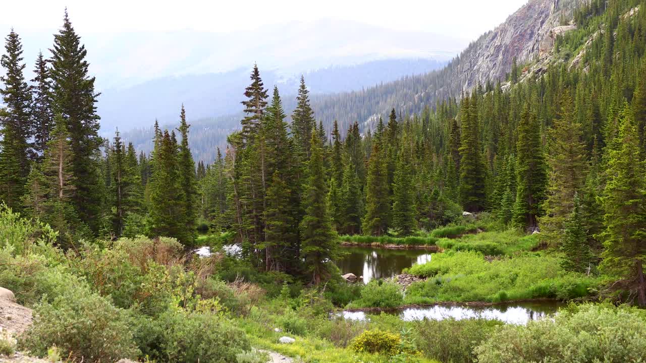 Static video of Monte Cristo Creek at Blue Lake in Breckenridge, Colorado. This is a small creek flowing out of Blue Lake with scenic tall trees around the water.