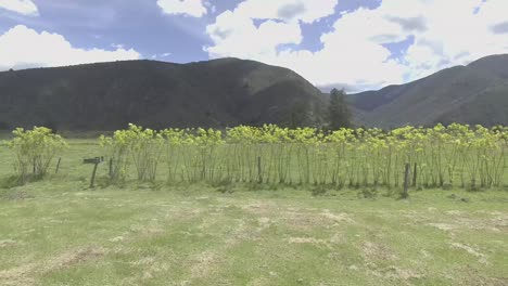 Paisaje-Campestre-De-Cielo-Azul-Con-Nubes-Blancas-Que-Dan-Sombra-A-Los-Verdes-Pastos-Del-Campo,-Además-De-Apreciar-Una-Gran-Montaña-En-El-País-Colombiano