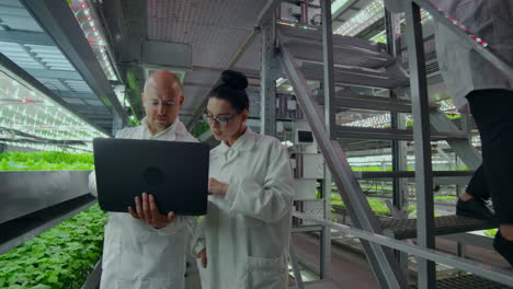 scientists in white coats with a laptop go along the corridor of the farm with hydroponics and discuss the results of gene studies on plants. look at the samples