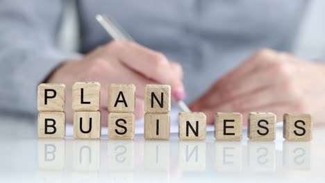 business plan for company or business institution of planning entrepreneur