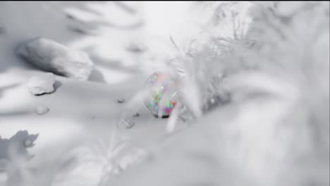 winter forest scene with snow and rocks