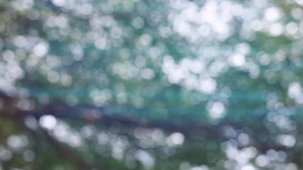 panorámica de la naturaleza verde bokeh luz del sol abstracto fondo borroso