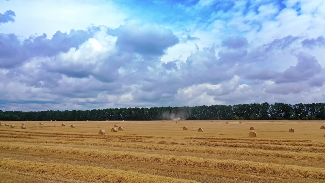 Low flight over the yellow field with round bales in summer agricultural works. Pressed bales of hay for livestock on the field under cloudy sky. Motion camera forward.