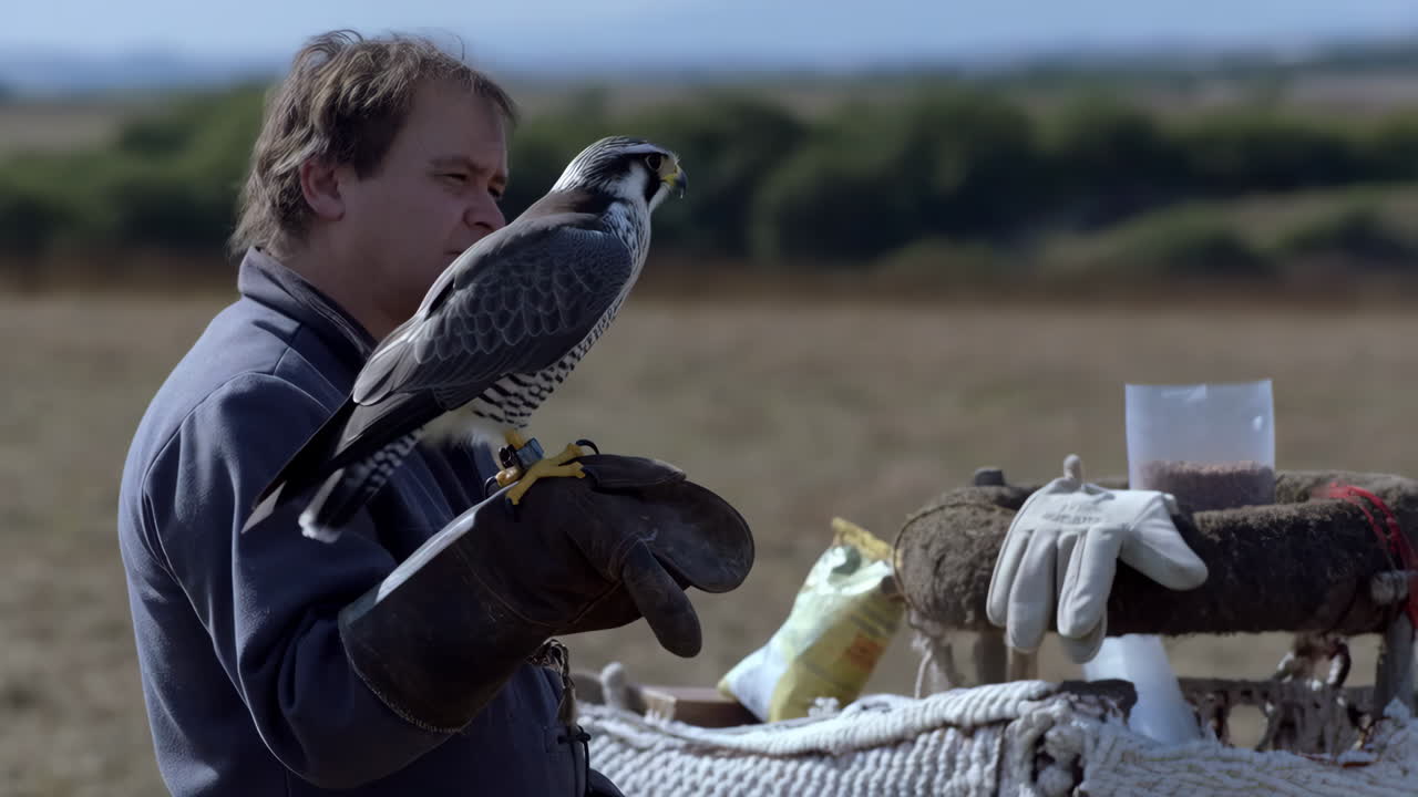 A man holding a falcon on his gloved hand in a field