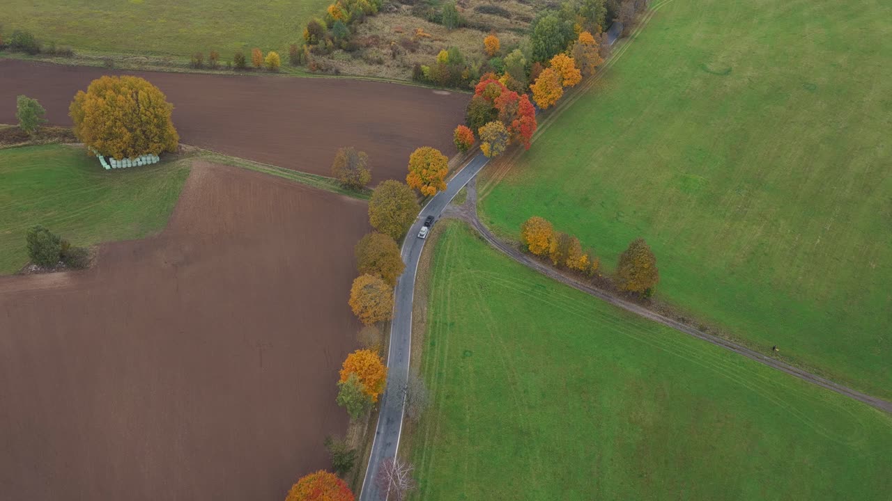 A car towing another on a trailer drives along a scenic road surrounded by autumn nature and colorful trees captured from a drone in a peaceful countryside landscape