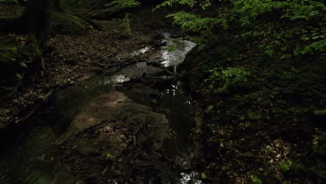 Pequeño-Arroyo-Forrest-En-Primavera