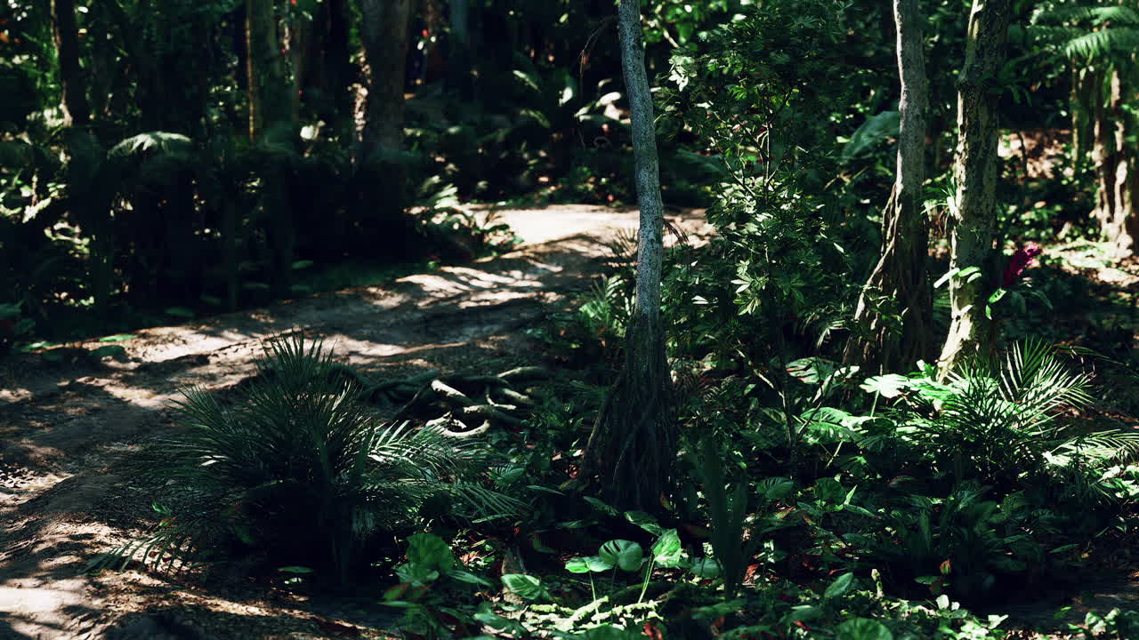 пышная тропическая листья в аргентинской лесистой местности в дневное время