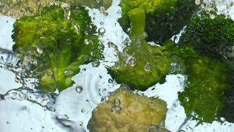 pieces broccoli cauliflower falling water in super slow motion close up.