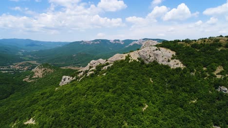 mountainous landscape with forest