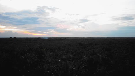 Amazing-cinematic-4K-sunset-residential-drone-footage-after-deforestation-issue-consists-of-homes,-road,-trees,-lake-and-infrastructure-in-the-middle-of-tropical-forest-located-in-Riau,-Indonesia