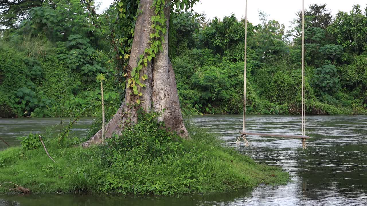 4k는 태국에서 밧줄 그네와 강 배경을 가진 나무 가까이