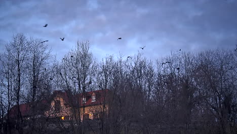 Grupo-De-Pájaros-Cuervos-Vuelan-Por-Nubes-Oscuras-Y-Aterrizan-En-Los-árboles