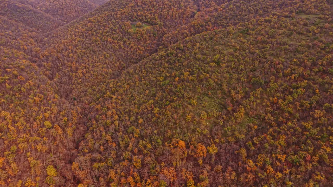 Vibrant autumn foliage covers the mountains in Bulgaria's aerial view
